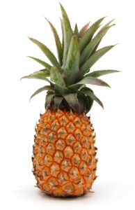 Ananas Victoria