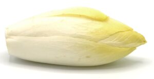 Endive