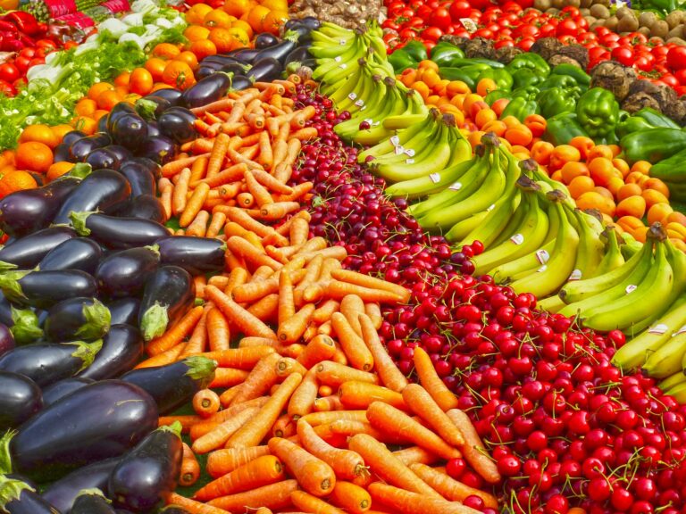 Grossiste fournisseur en fruits et légumes de saison