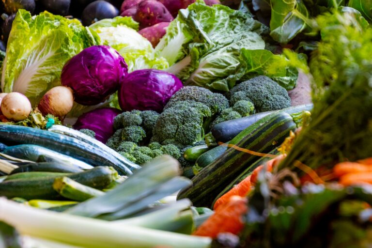 Grossiste fournisseur en fruits et légumes de saison