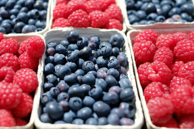 Grossiste fournisseur en fruits et légumes de saison