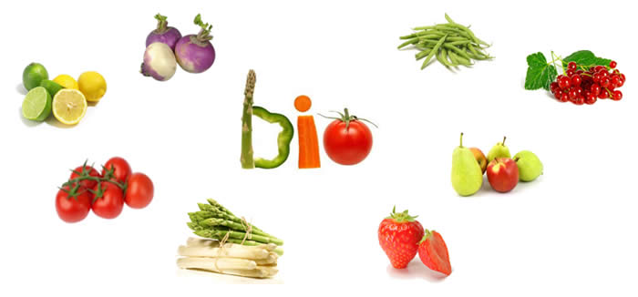 Grossiste et fournisseur en produits bio