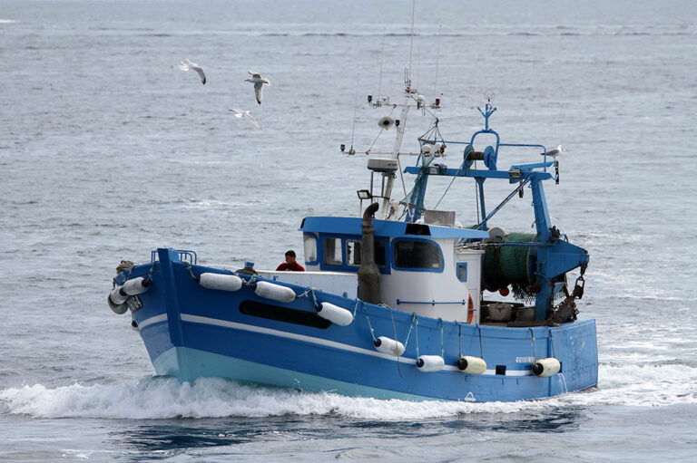 grossiste-mareyeur-produits-de-la-mer