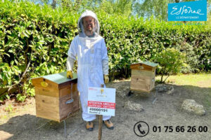 Lire la suite à propos de l’article Installation des ruches